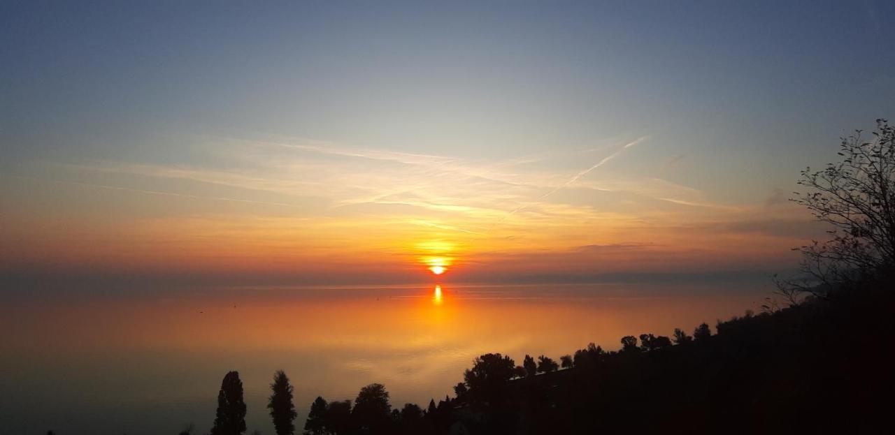 Villa Bori Siófok Exteriör bild