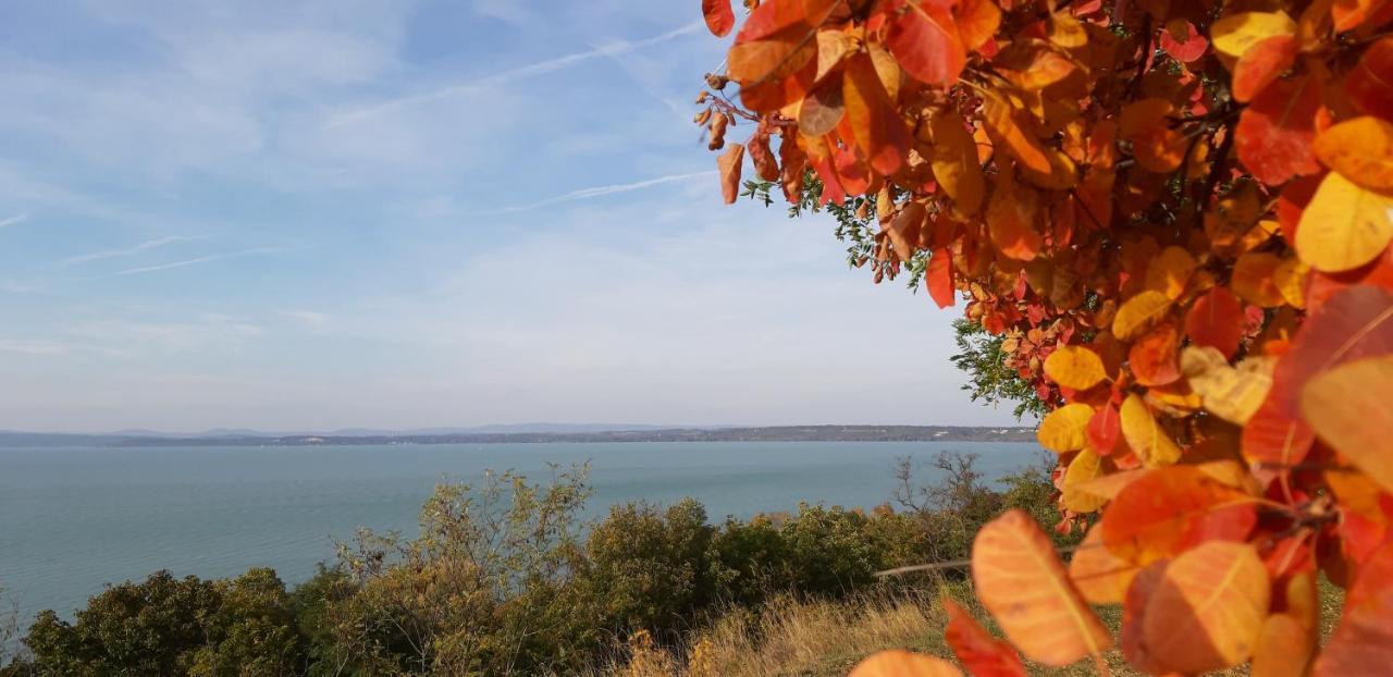 Villa Bori Siófok Exteriör bild